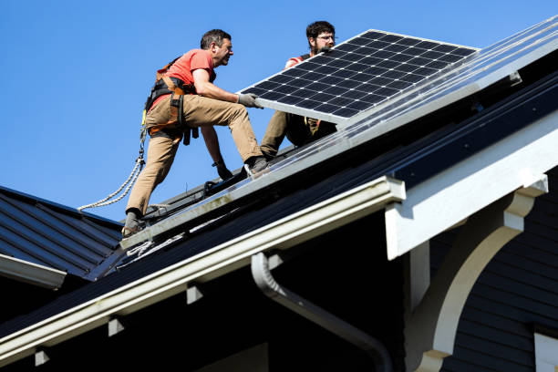 Best Roof Moss and Algae Removal  in Flossmoor, IL